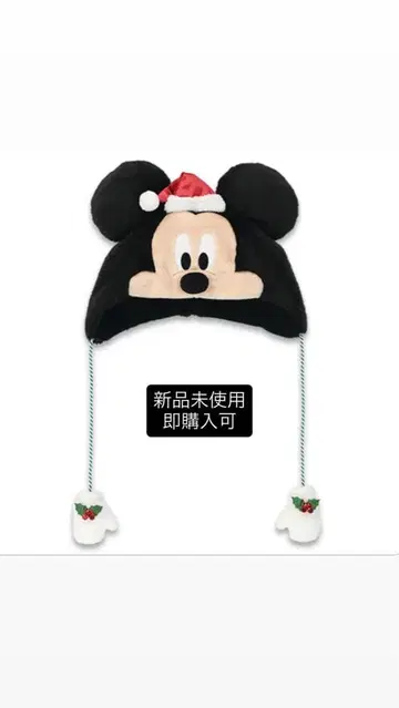 디즈니 팬 캡 2025