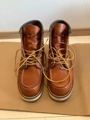 RED WING 레드윙 아이리쉬 세터 8875