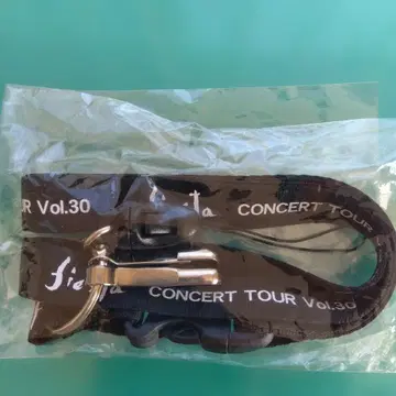 fiesta CONCERT TOUR Vol.30 스트랩