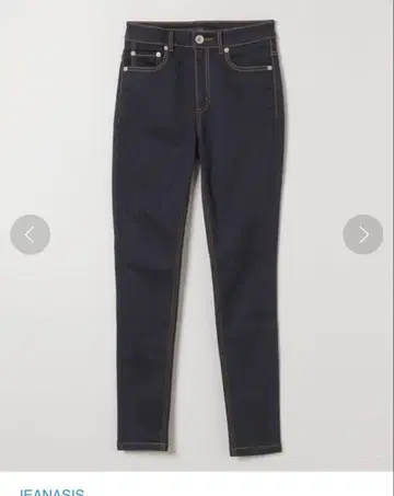 지나시스 제깅스