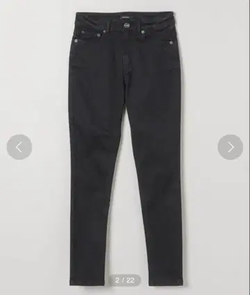 지나시스 제깅스