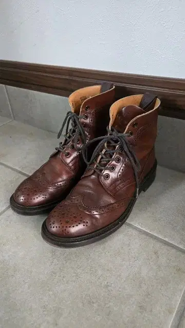 트리커스 STEPHY 24