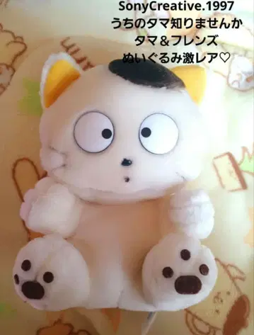 혹시 내 친구 타마 아니? 타마 & 프렌즈 봉제 인형 [ 초레어 ]