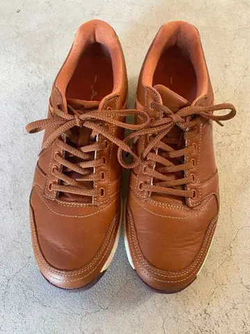 미즈노 워킹화 25.5cm 남성용 브라운