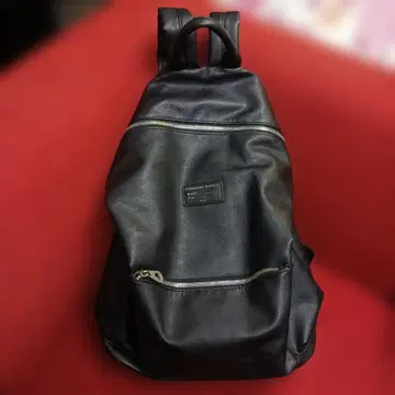 STANDARD SUPPLY 백팩 백팩 스탠드다드 서플라이