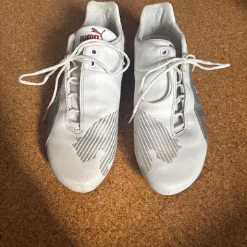 PUMA 드리프트캣 29.5cm