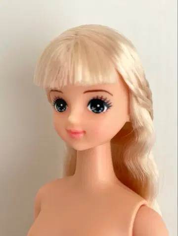 미래 오타노시미 인형 ESC 리카짱 캐슬