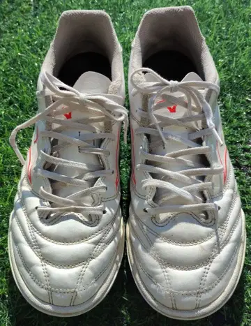 Mizuno 축구 트레이닝 슈즈 모나르시다 네오 24.5cm