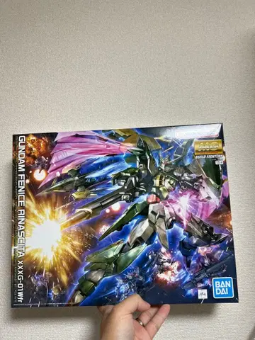 MG 1/100 건담 페니체 리나시타