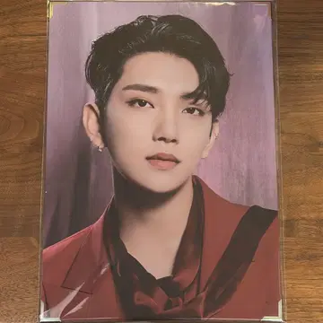 SEVENTEEN POWER OF LOVE 프리미엄 사진 조슈아