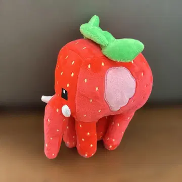 ROBROX 최강 이탈리안 레인 로트 스트로베리 엘리펀트 새상품