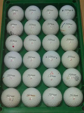 타이틀리스트 prov1x 로스트볼 24개