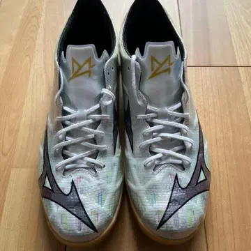 미즈노 알파 사라