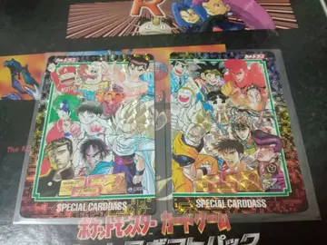 SPECIAL CARDDASS 카드 2장 세트