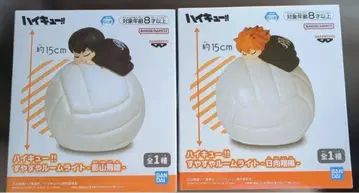 하이큐 룸 라이트 카게야마 토비오 히나타 쇼요 2세트