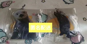 캡슐 복권 키라짱