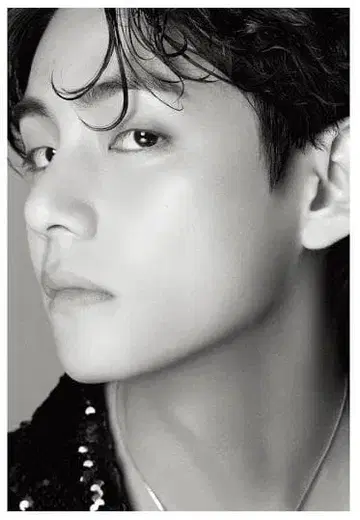 BTS Dicon DFESTA 타입 V