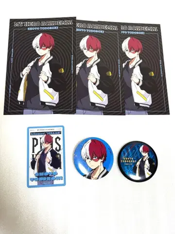 나의 히어로 아카데미아 히로아카 AGF SUKAJAN 스카잔 토도로키