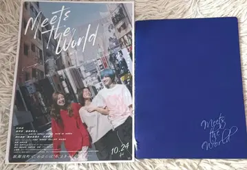 영화 미츠 더 월드 플라이어 팜플렛