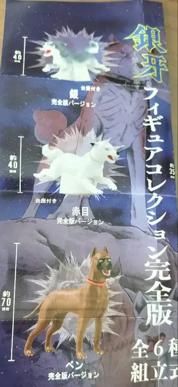 완전판 컬러 3개 세트 은아 별똥별 은 피규어 컬렉션 박스판