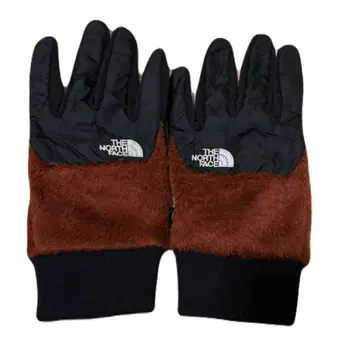 THE NORTH FACE 데날리 칩 그로브 L NN61919