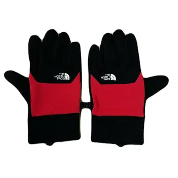 더 노스 페이스 이-칩 그로브 L NN61913