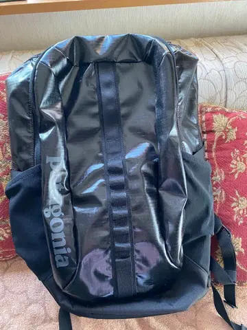 Patagonia 블랙홀 30L 백팩 정품