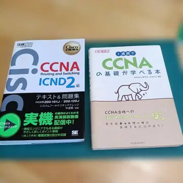 CCNA 라우팅 앤 스위칭