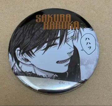 WIND BREAKER 주얼리 캔뱃지 사쿠라 하루카