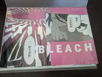 BLEACH A3 포스터 세트