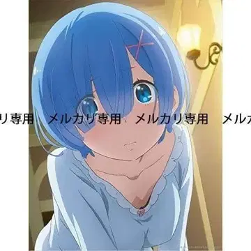 Re: 제로부터 시작하는 이세계 생활 캔버스 아트 렘 파자마ver