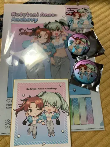 안초비 카쿠타니 안 클리어 파일 색지 아크릴 키링 캔뱃지