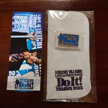 EKICHI YAZAWA 2025 도쿄 DOME 공연 ss석 혜택