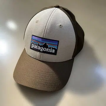 Patagonia 캡 베이지/브라운