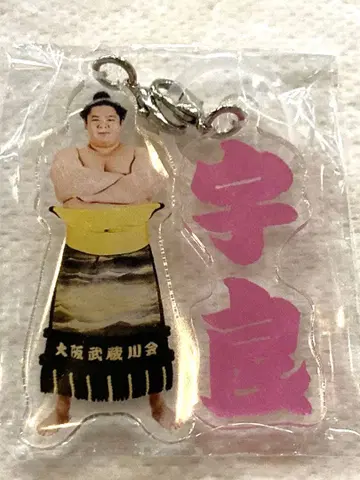 스모 가챠 우라 세키 메지루시 액세서리