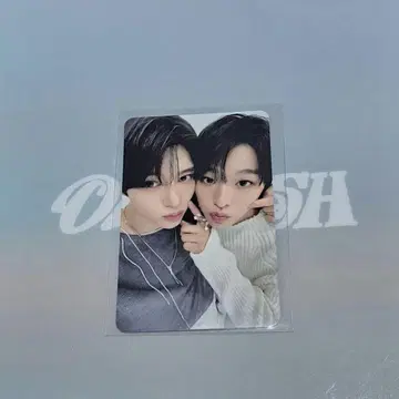 시온 리쿠 온리 케미 트레이딩 카드 NCT WISH