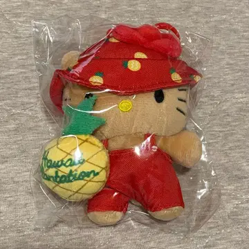 하와이 헬로키티 키링