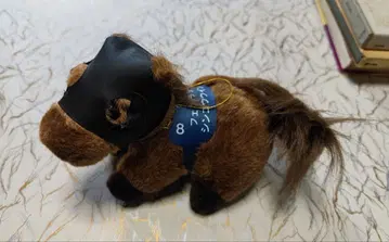 신코우 윈디호 AVANTI제 봉제 인형 (덤 포함)