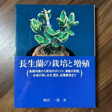 장생란의 재배와 증식