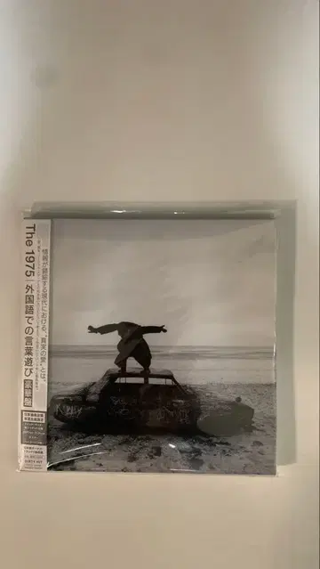 [디럭스판] The1975 [외국어 말장난]