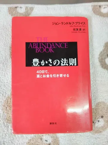풍요의 법칙 40일 만에 부와 금을 끌어당기는