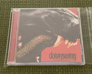 Downswing 뉴 메탈 메탈코어