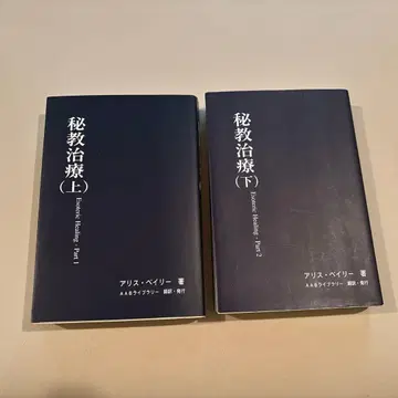 비전 치료 (상) (하)