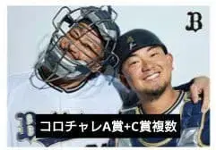 코로챌레 A상 담요