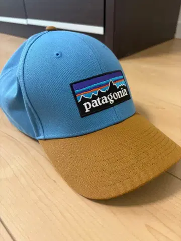 patagonia 야구 모자 파랑/브라운