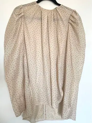 시어 도트 자수 블라우스