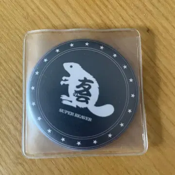 SUPER BEAVER 거울