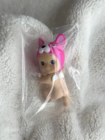 소니 엔젤 피퍼스 sony angel 프렌치 불독