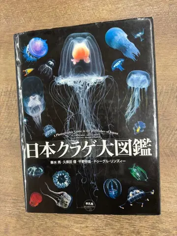 일본 해파리 대도감