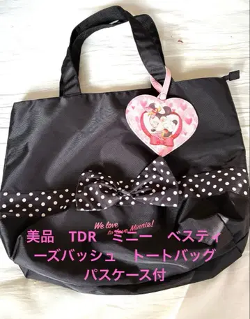 새상품급 TDR 미니 베스티즈 농구화 토트백 패스케이스 포함